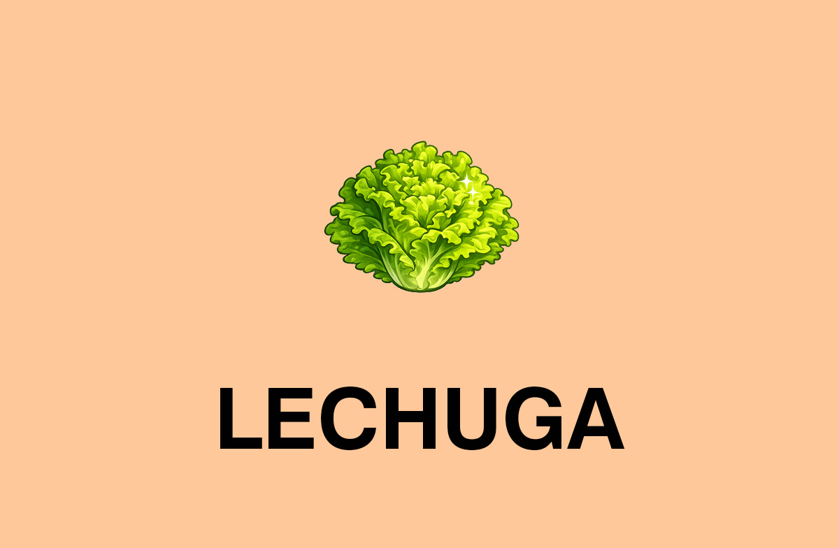 Lechuga