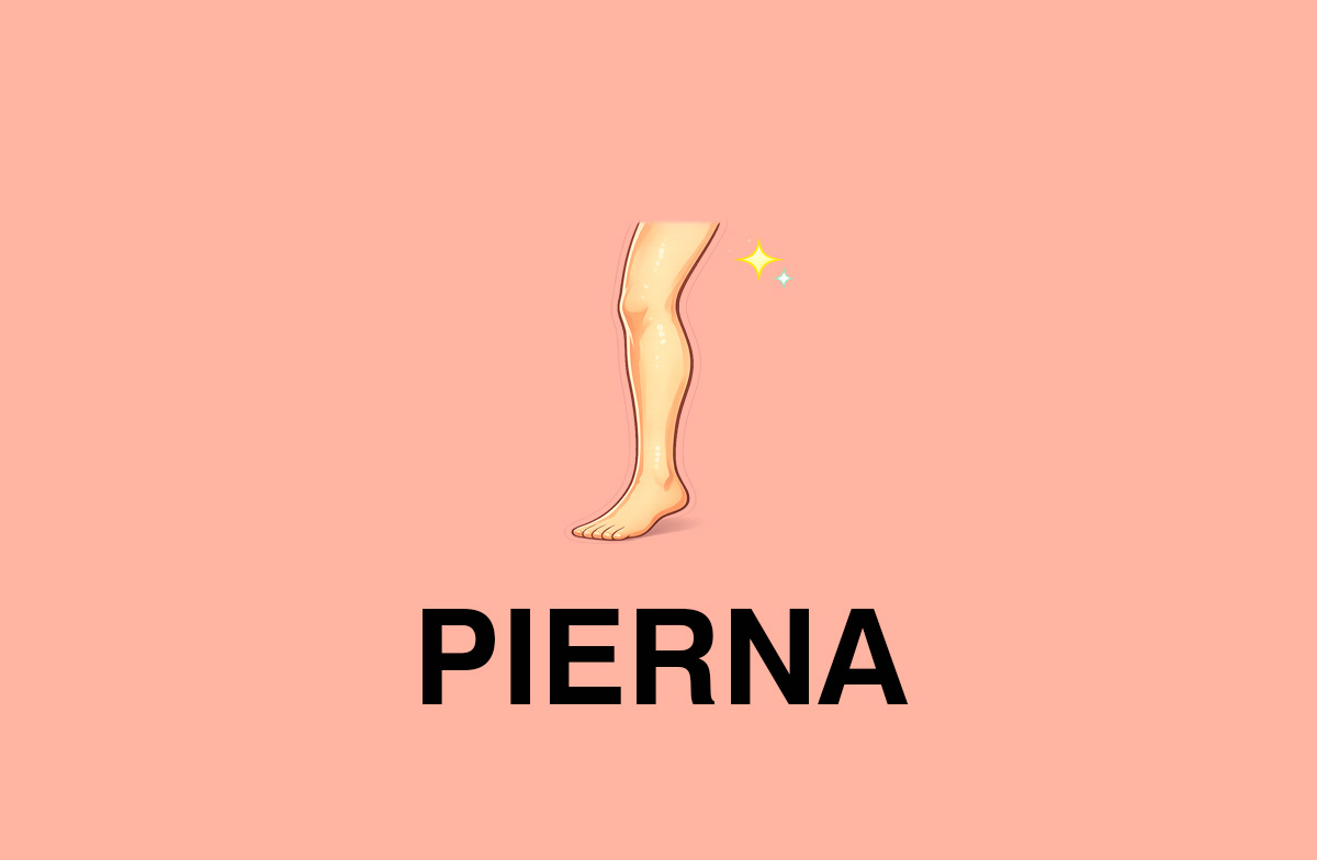 Pierna